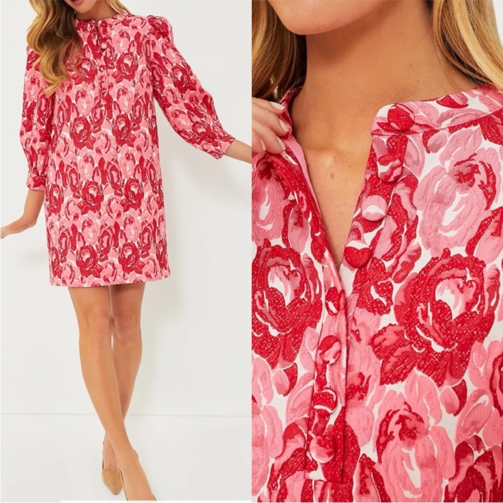 Tuckernuck Pink and Red Floral Dress